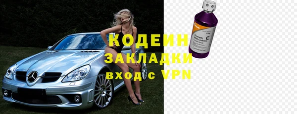 молекула духа Елизово