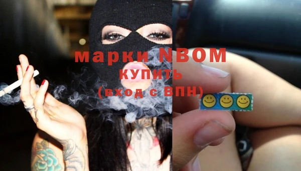 молекула духа Елизово