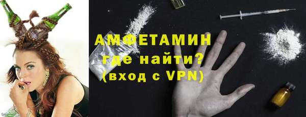 трава Ельня