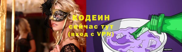 трава Ельня
