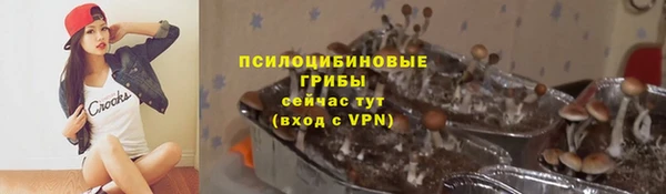 трава Ельня