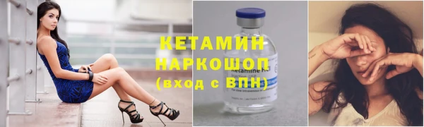 трава Ельня