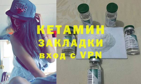 трава Ельня
