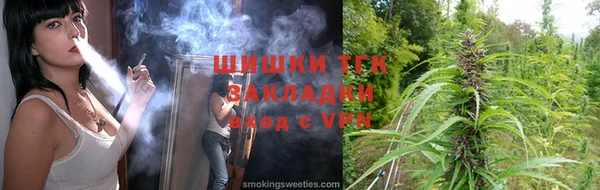 трава Ельня