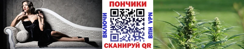 Канабис план  Купить  Донецк 